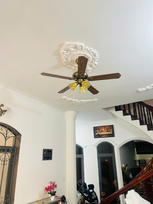 Quạt trần cánh gỗ QT42001