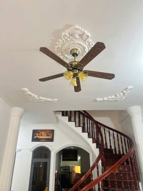 Quạt trần cánh gỗ QT42001