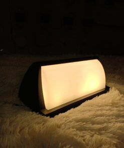 Đèn vách led VNT2231