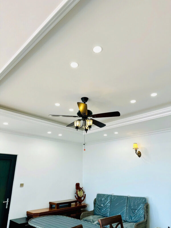 Quạt trần cánh gỗ QT5218