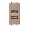 Ổ cắm đôi USB Q120-2USB