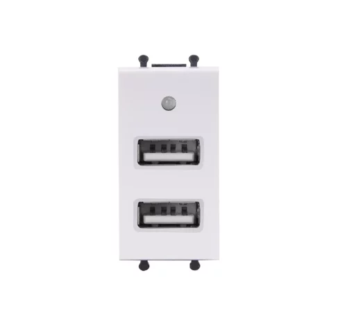 Ổ cắm đôi USB cỡ S Q120B-2USB