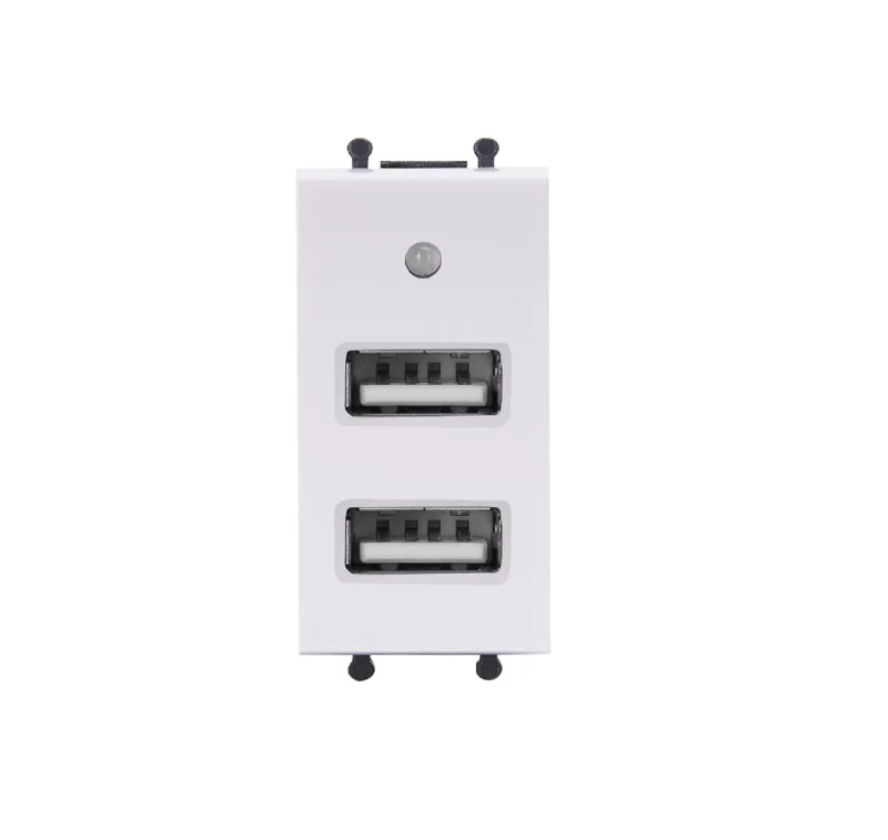 Ổ cắm đôi USB cỡ S Q120B-2USB