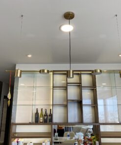 Đèn thả thiết kế TTK111N5