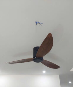 Quạt sát trần QViFa-81