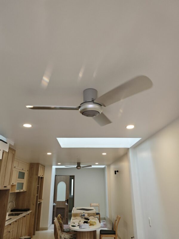 Quạt trần Panasonic F-48CZL