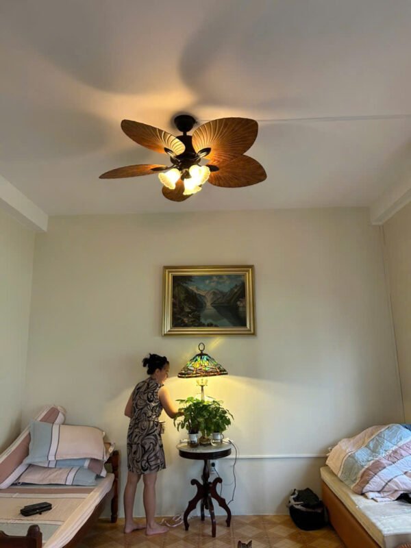 Quạt trần hình lá cọ QViFa-49VF12