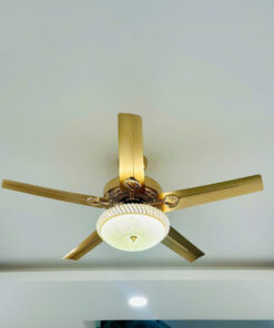 đèn trang trí nội thất của mọi nhà Quạt trần cánh sắt QT4801