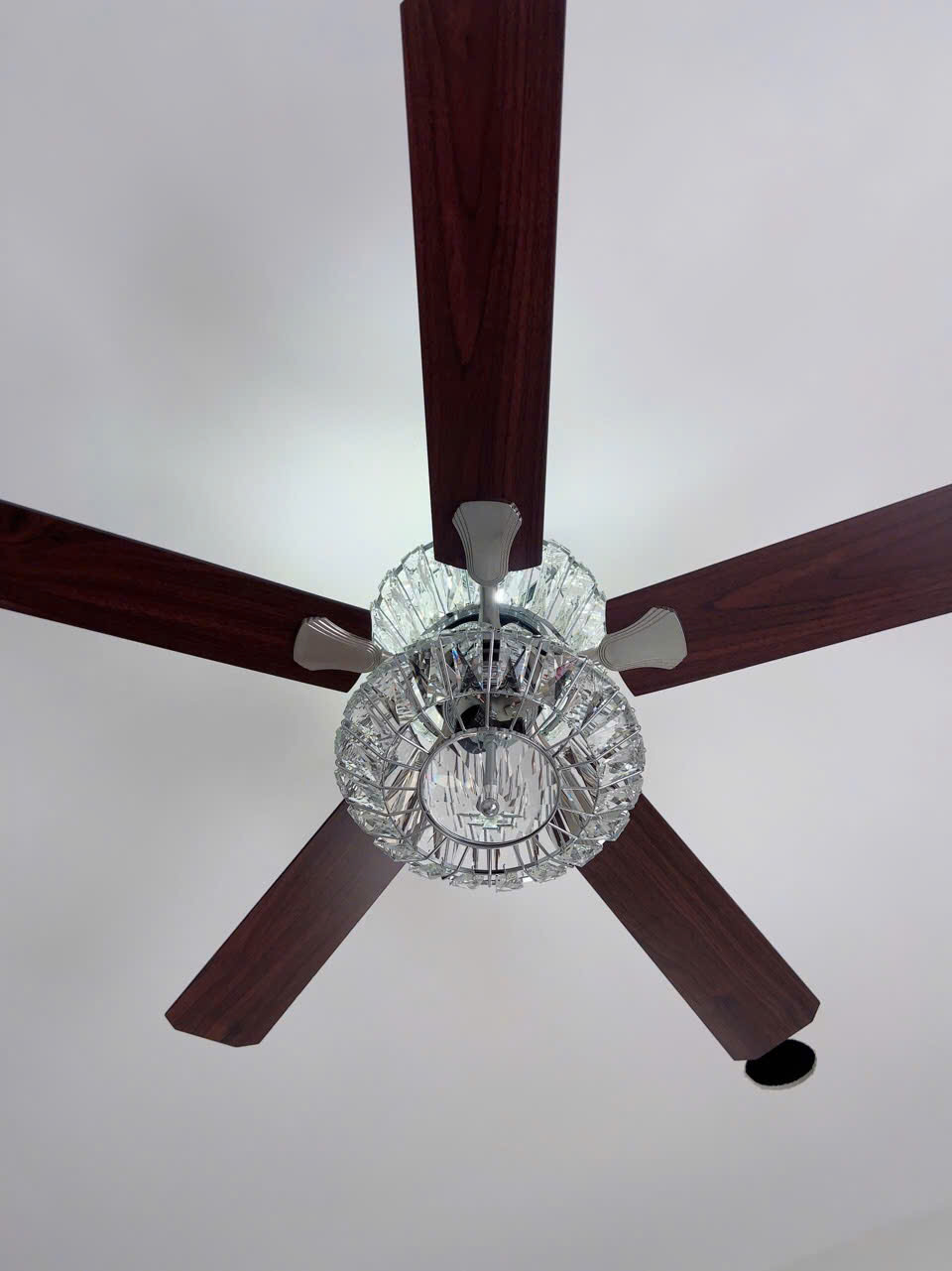 z7329094913037_bb03f02eb27db4471766809bdbad032d den-trang-tri