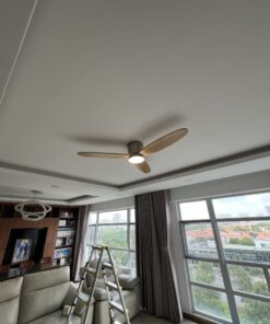 Quạt sát trần QT31A