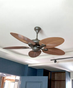 Quạt trần KAIYOKUKAN KOCHI 168