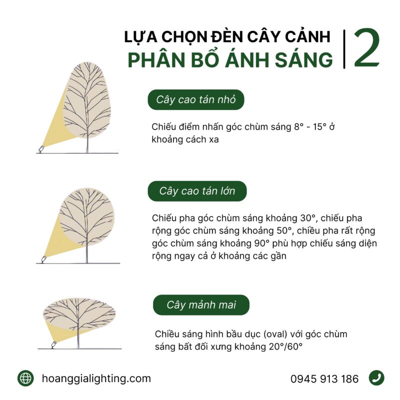 đèn chiếu sáng sân vườn