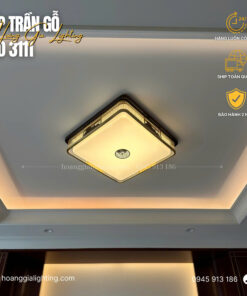 Đèn ốp trần gỗ OĐ 3111