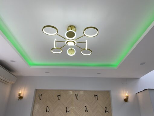 Đèn thả hiện đại TTK116T8 Vàng