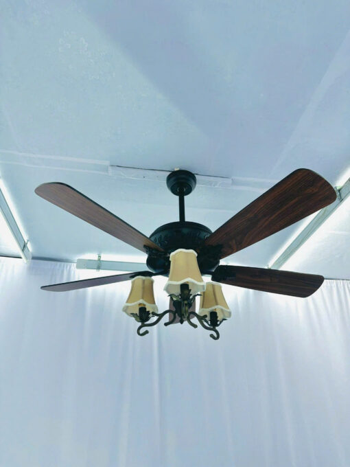 Quạt trần cánh gỗ QT42055