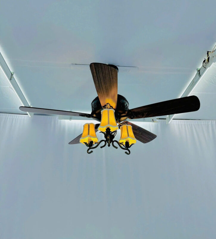 Quạt trần cánh gỗ QT42055