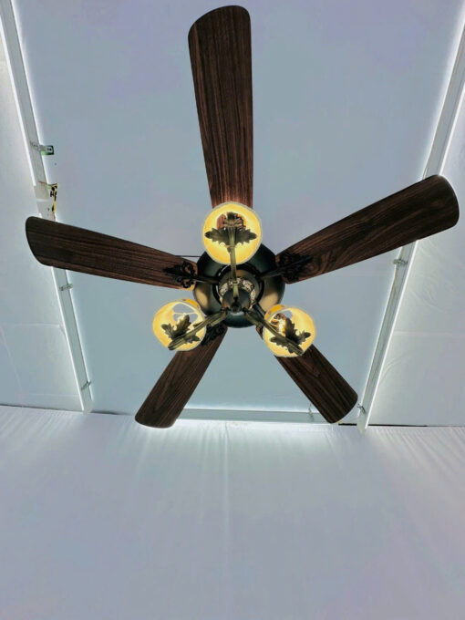 Quạt trần cánh gỗ QT42055