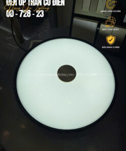 Đèn ốp trần cổ điển OD-728-23