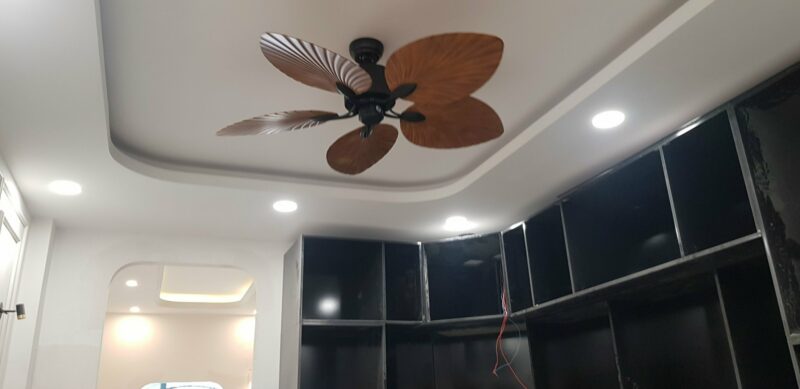 Quạt trần hình lá cọ QViFa-77